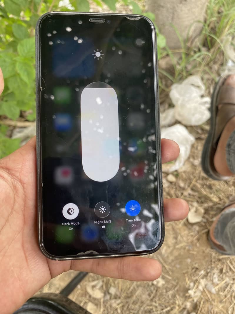 Apple iPhone 11 3