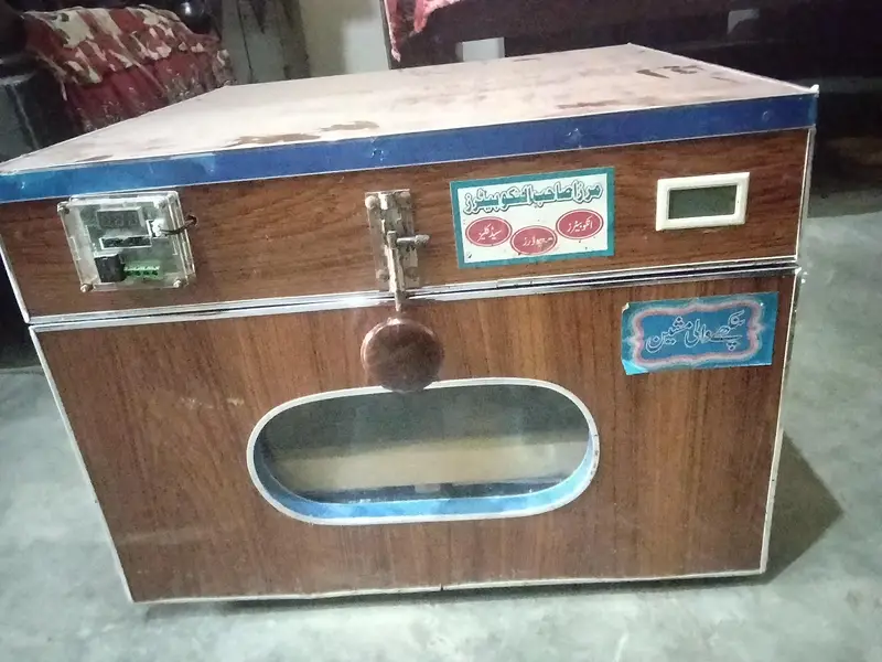 Incubator — photo 2