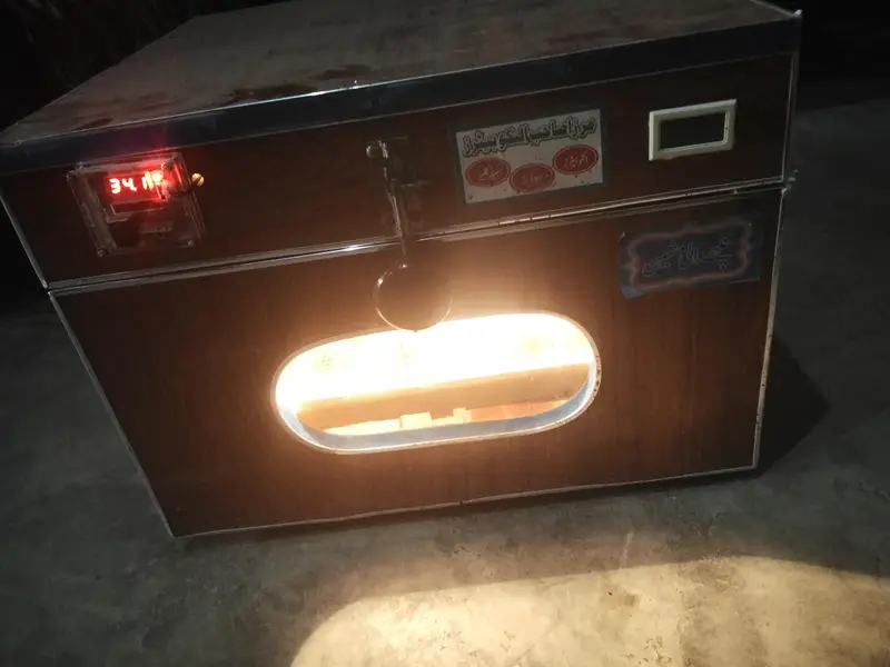 Incubator — photo 3