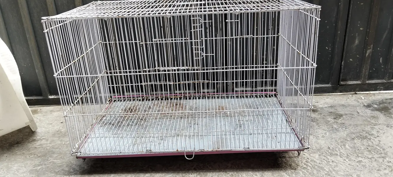 large parrot cage for urgent sale — photo 2