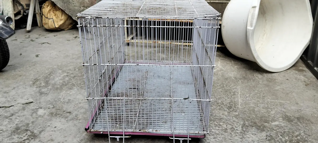 large parrot cage for urgent sale — photo 3