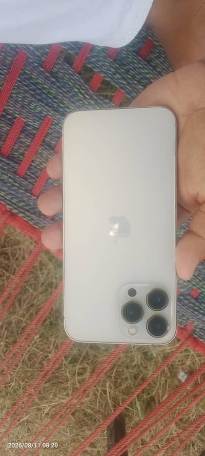 Apple iPhone 13 Pro Max