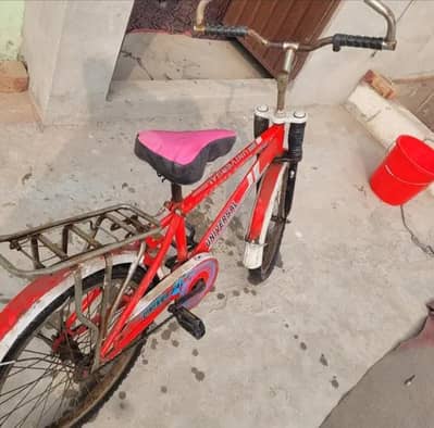 Sony Original Biycycle