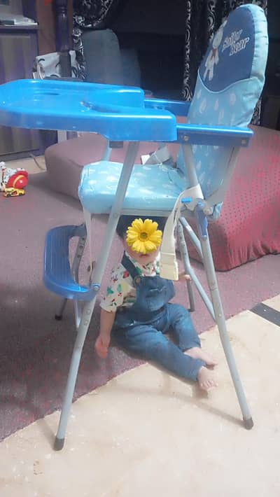 baby dinning chair