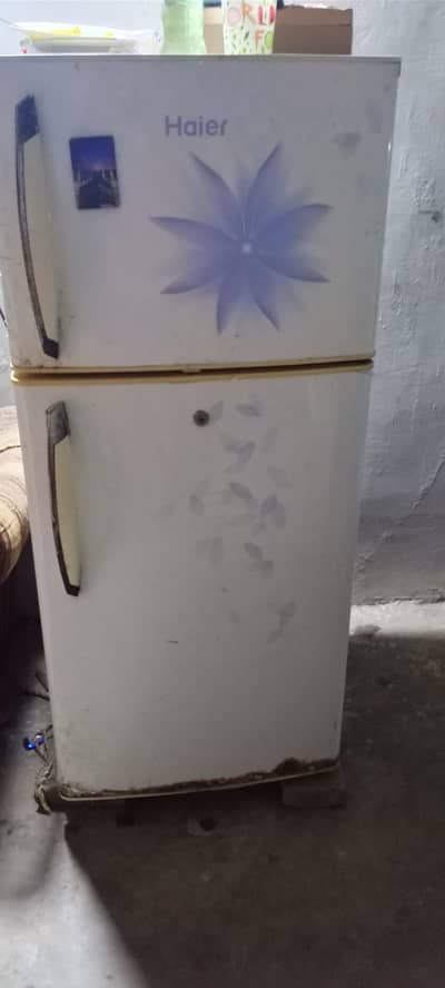 uesd hà