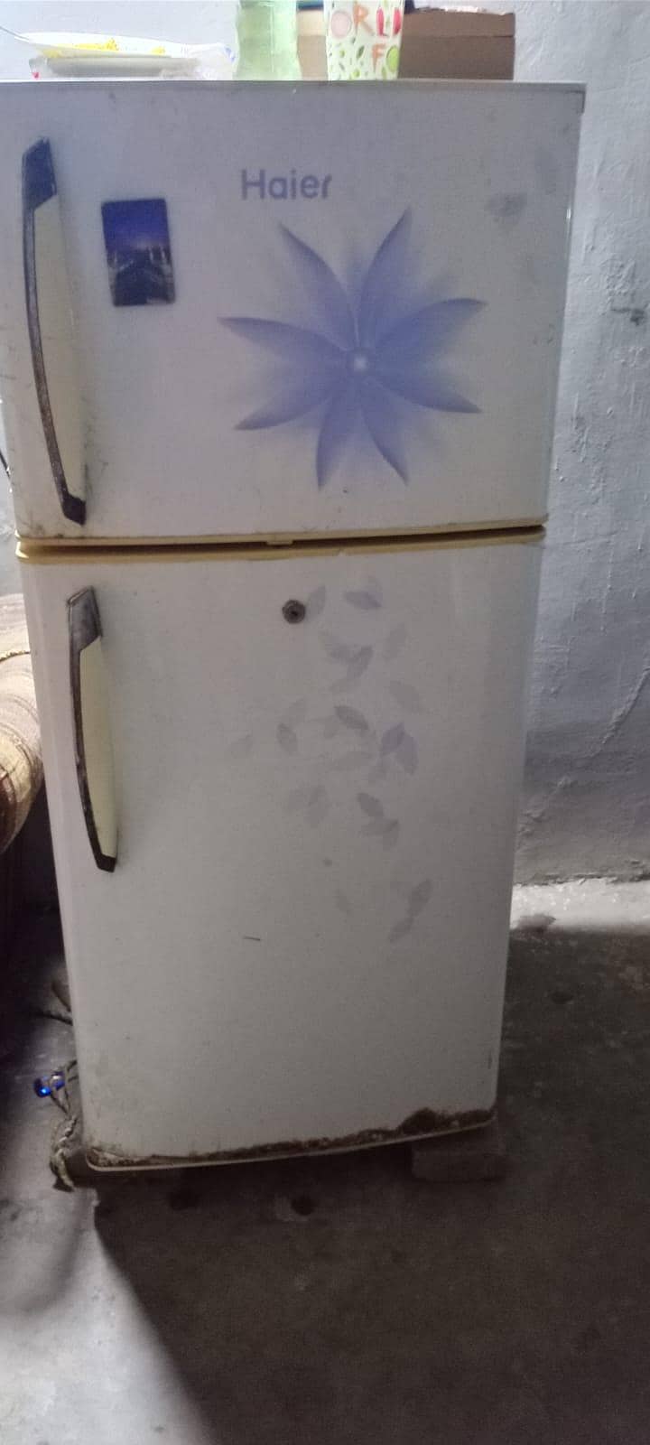 uesd hà 0