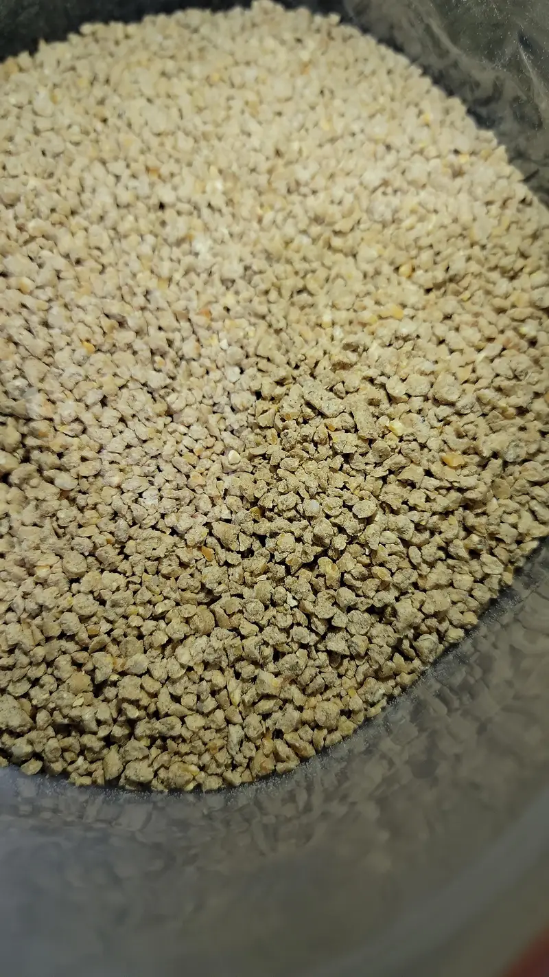Super High Growth Protein Feed | Premium BSF Larvae Feed for Birds — photo 2
