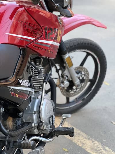 Ybr 125G 20/21