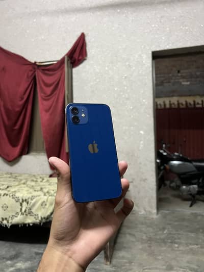 Apple iPhone 12