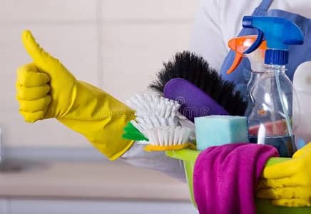 Domestic Helper