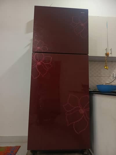 Jumbo Size Refrigerator