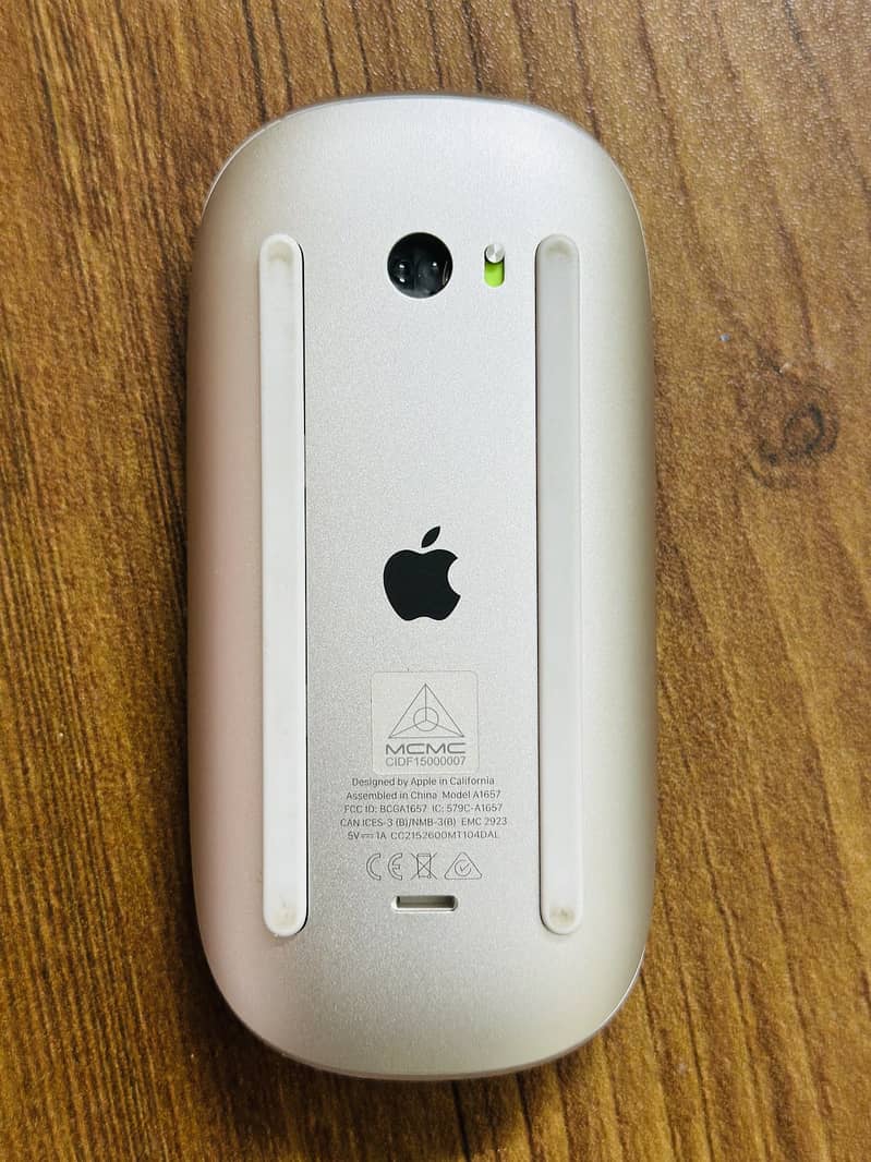 Apple Magic Mouse 2 0