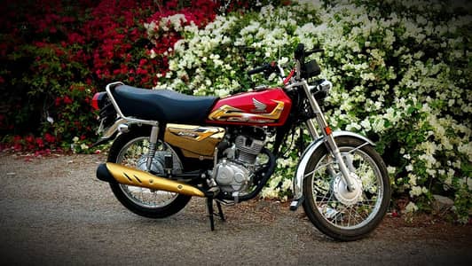 Honda 125 Gold Edition