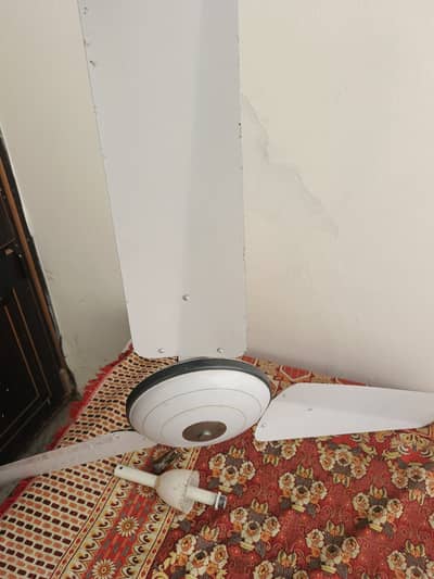 Celling fan