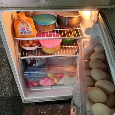 PEL refrigerator