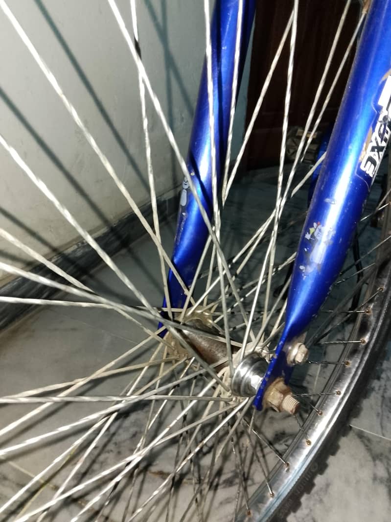 Bicycle 5