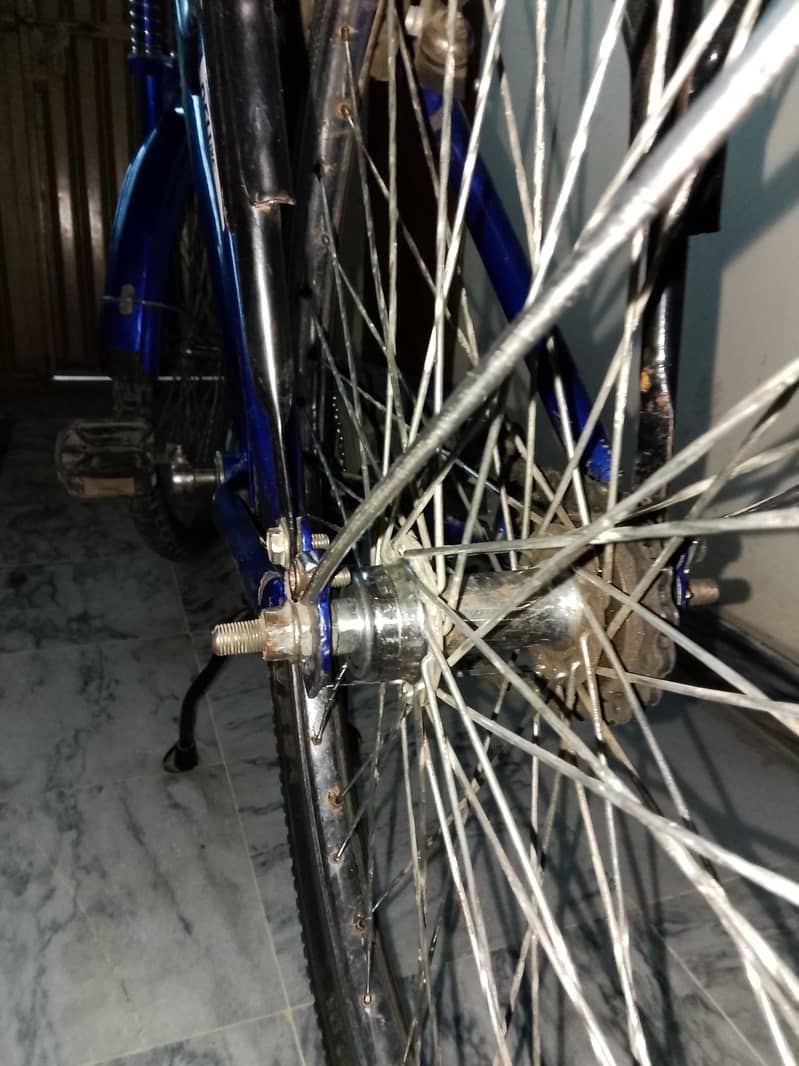 Bicycle 6
