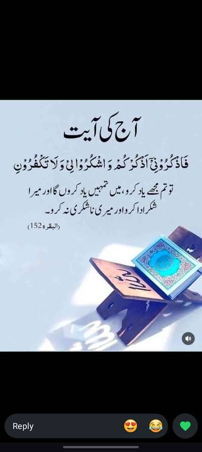 ali raza 