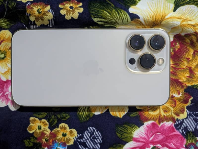 Apple iPhone 13 Pro 1