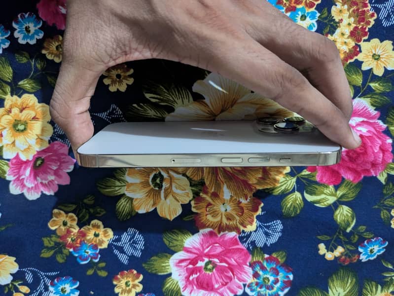 Apple iPhone 13 Pro 2