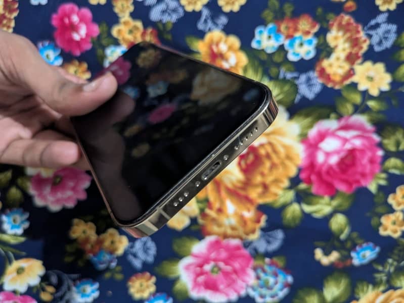 Apple iPhone 13 Pro 5