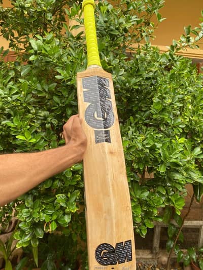 Hardball Cricket Bat