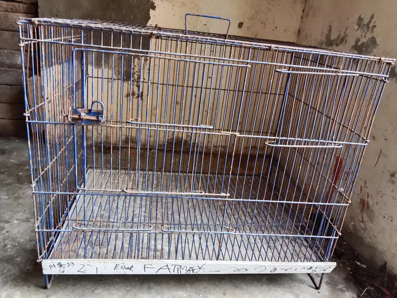 2by1.5by1.5 cage. watsap call num 03330031118