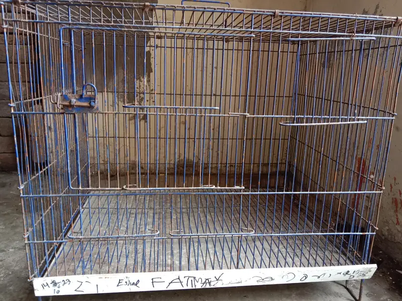 2by1.5by1.5 cage. watsap call num 03330031118 — photo 3