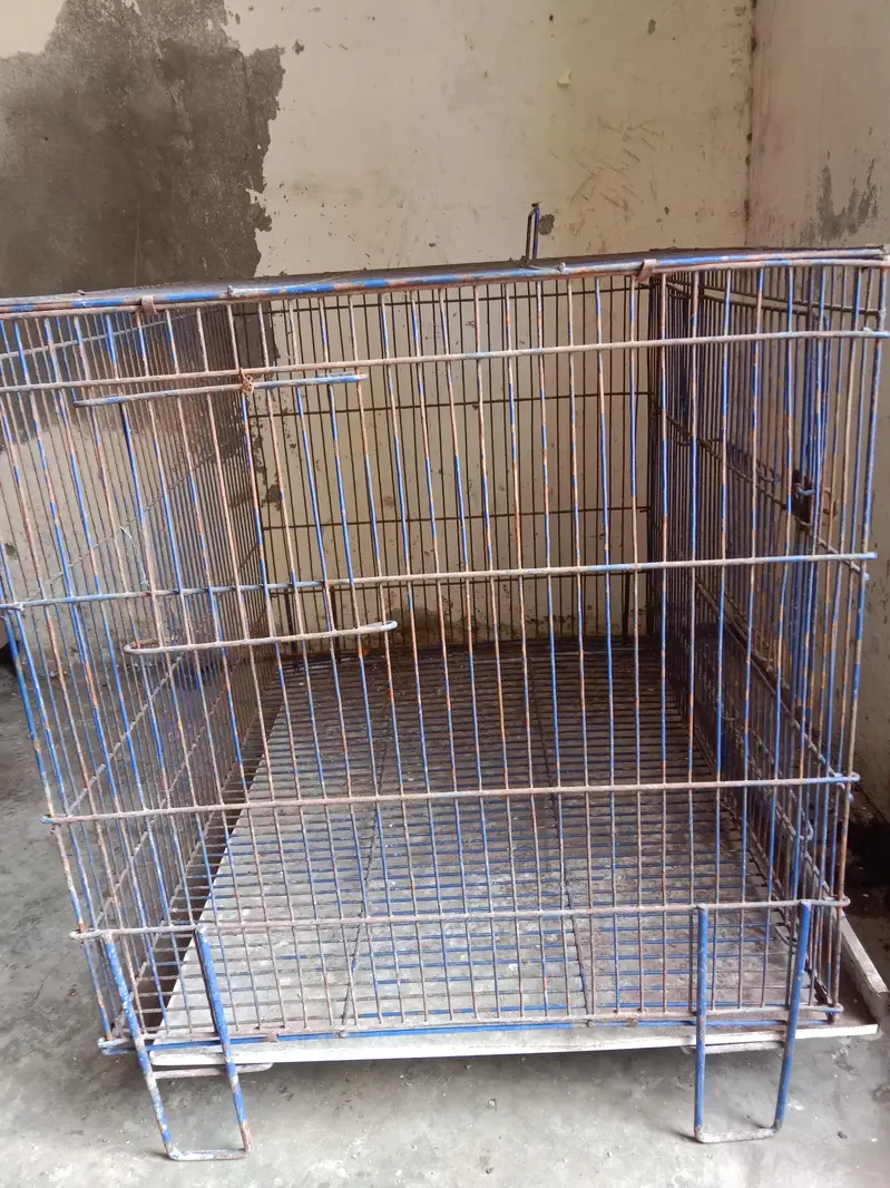 2by1.5by1.5 cage. watsap call num 03330031118 — photo 5