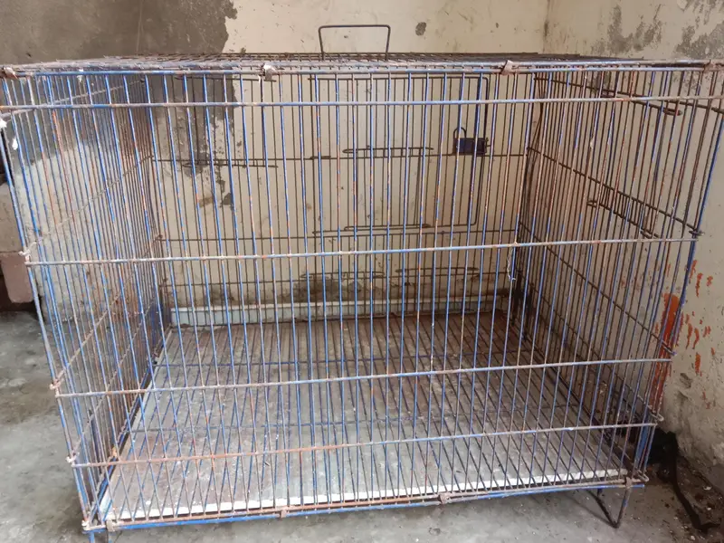 2by1.5by1.5 cage. watsap call num 03330031118 — photo 6