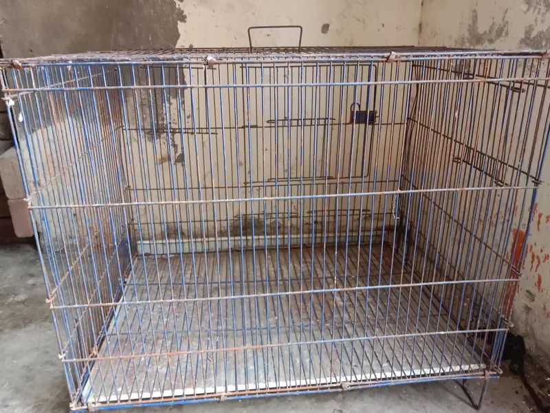 2by1.5by1.5 cage. watsap call num 03330031118 — photo 7