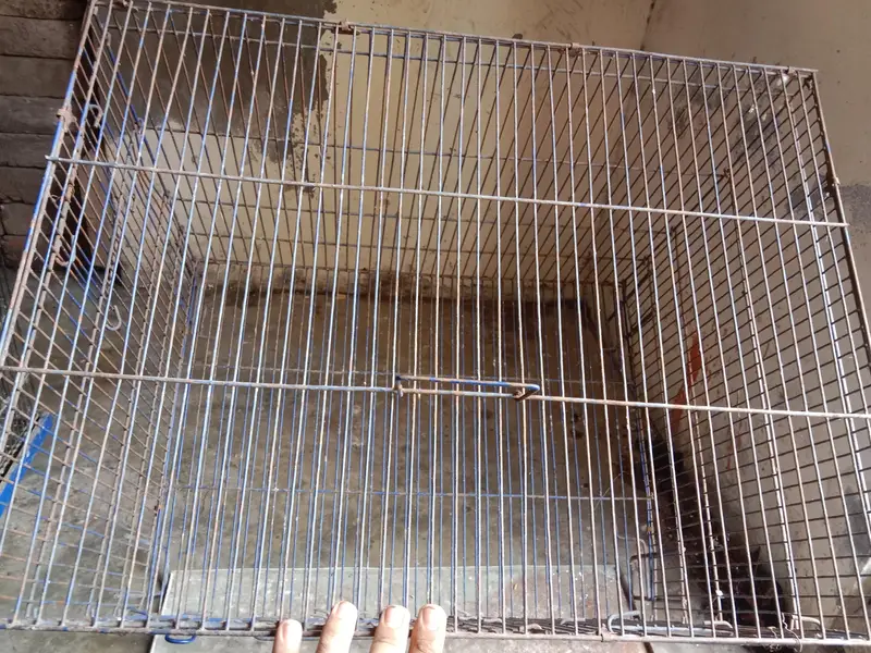 2by1.5by1.5 cage. watsap call num 03330031118 — photo 8