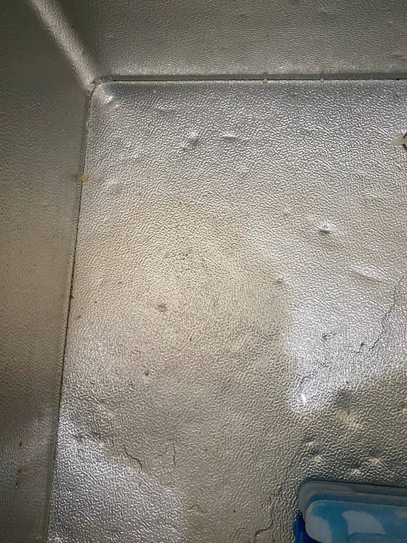 waves Deep freezer 2