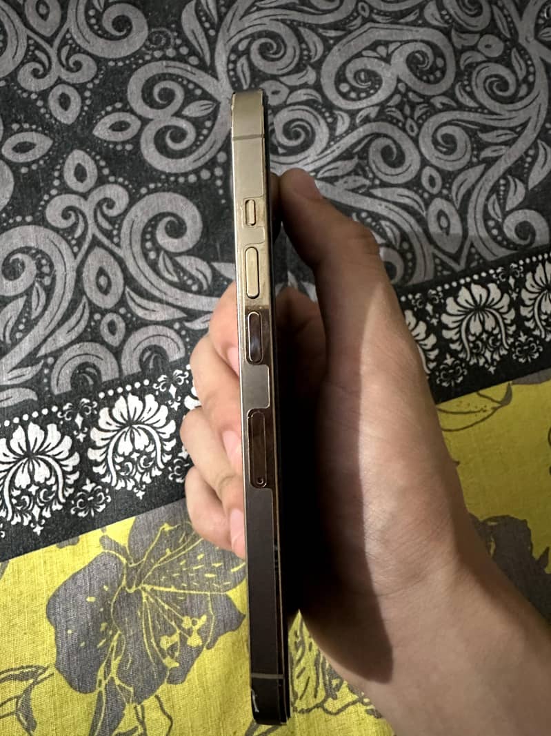 Apple iPhone 13 Pro 3