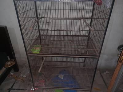 Hens and Parrots cages for sale.