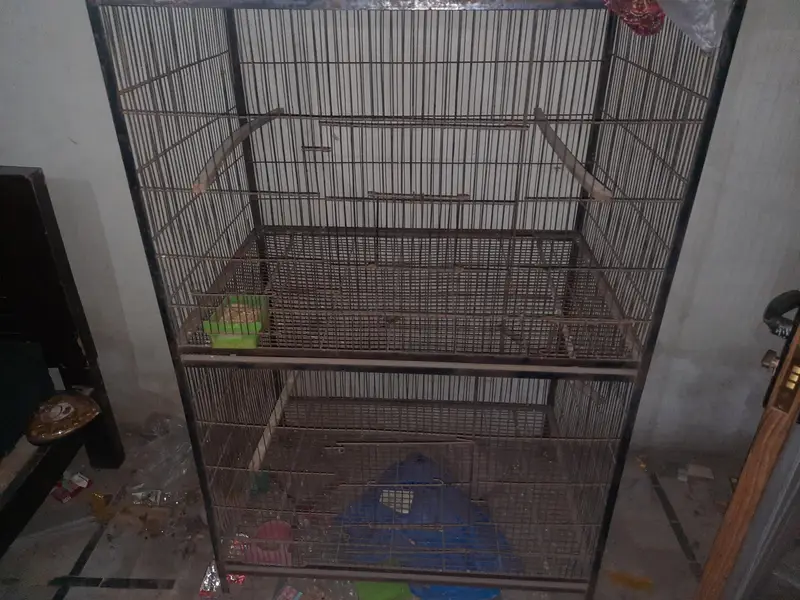 Hens and Parrots cages for sale.