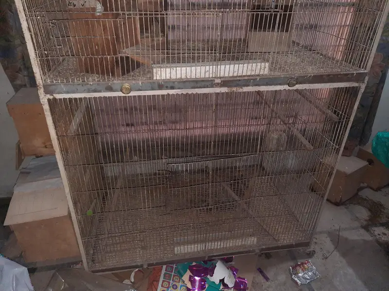 Hens and Parrots cages for sale. — photo 2
