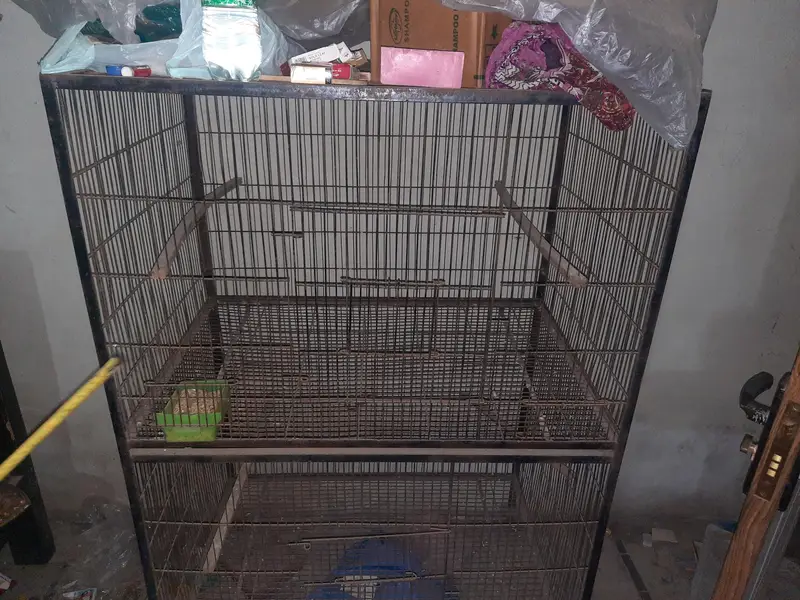 Hens and Parrots cages for sale. — photo 4