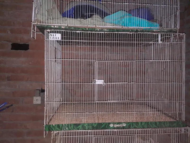 Hens and Parrots cages for sale. — photo 5