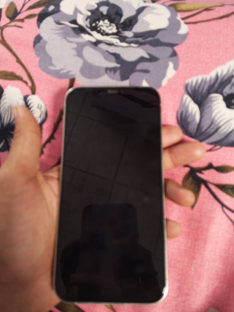 Apple iPhone 12 Pro Max 3