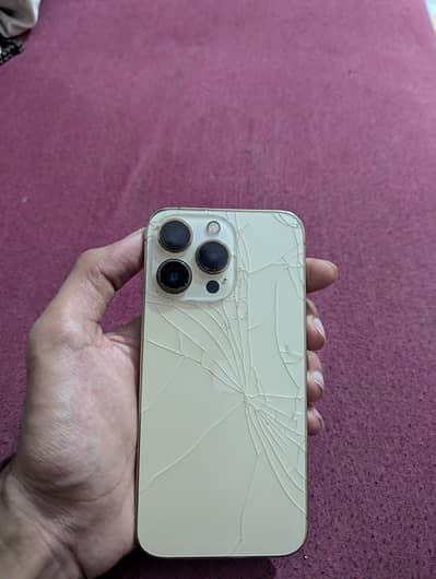 Apple iPhone 13 Pro