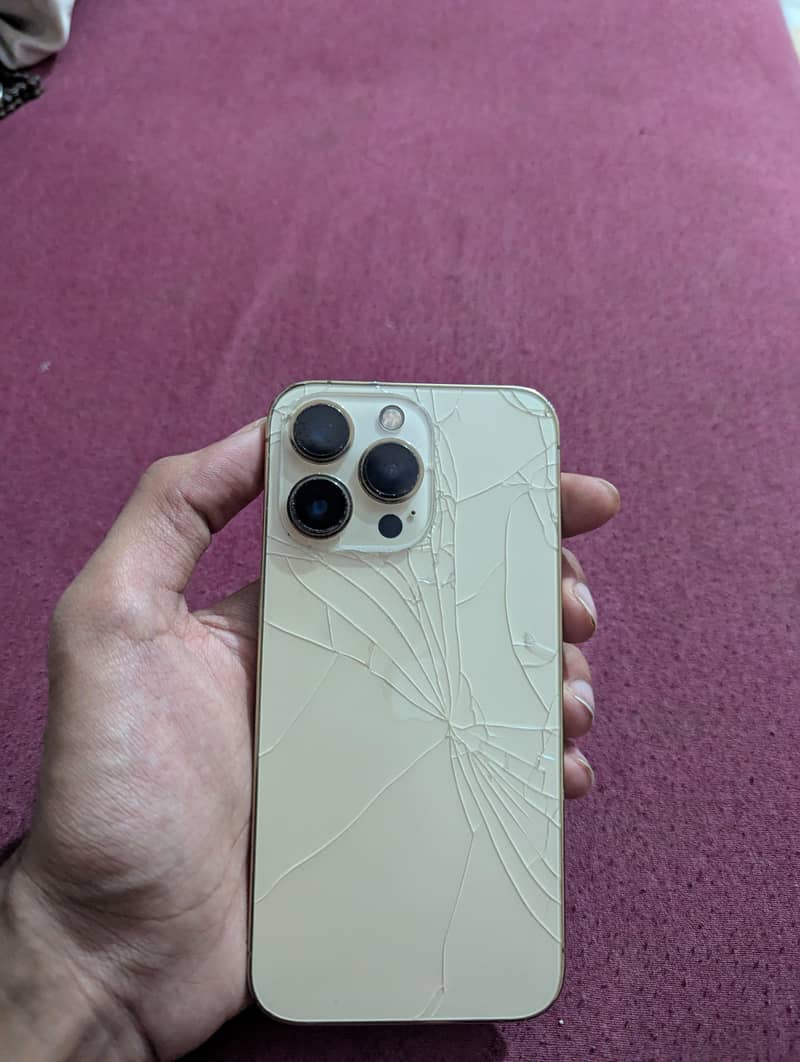 Apple iPhone 13 Pro 0