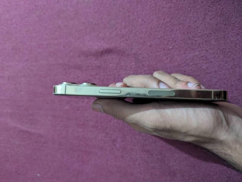 Apple iPhone 13 Pro 5