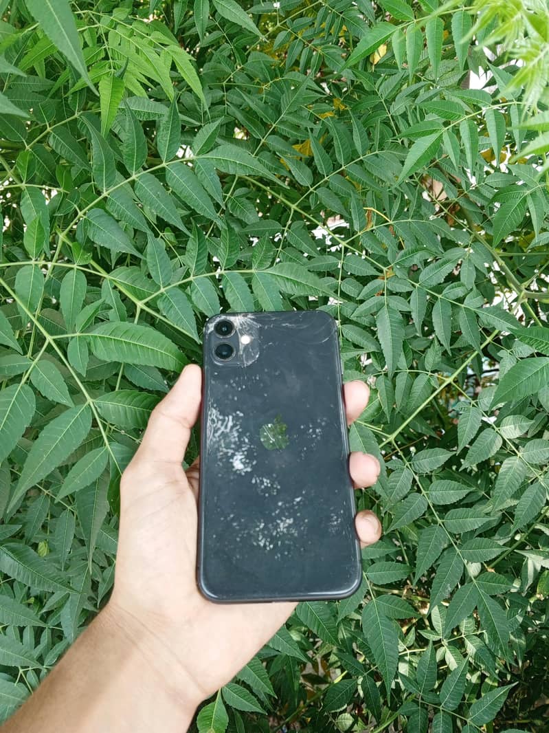 Apple iPhone 11 4
