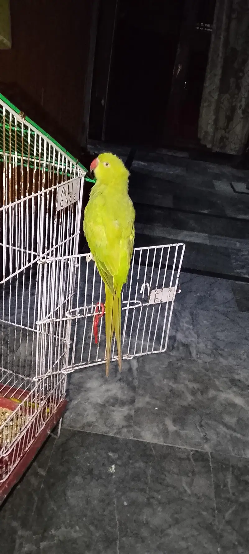 hand tame or actvi pair hai taking b karta hai — photo 2