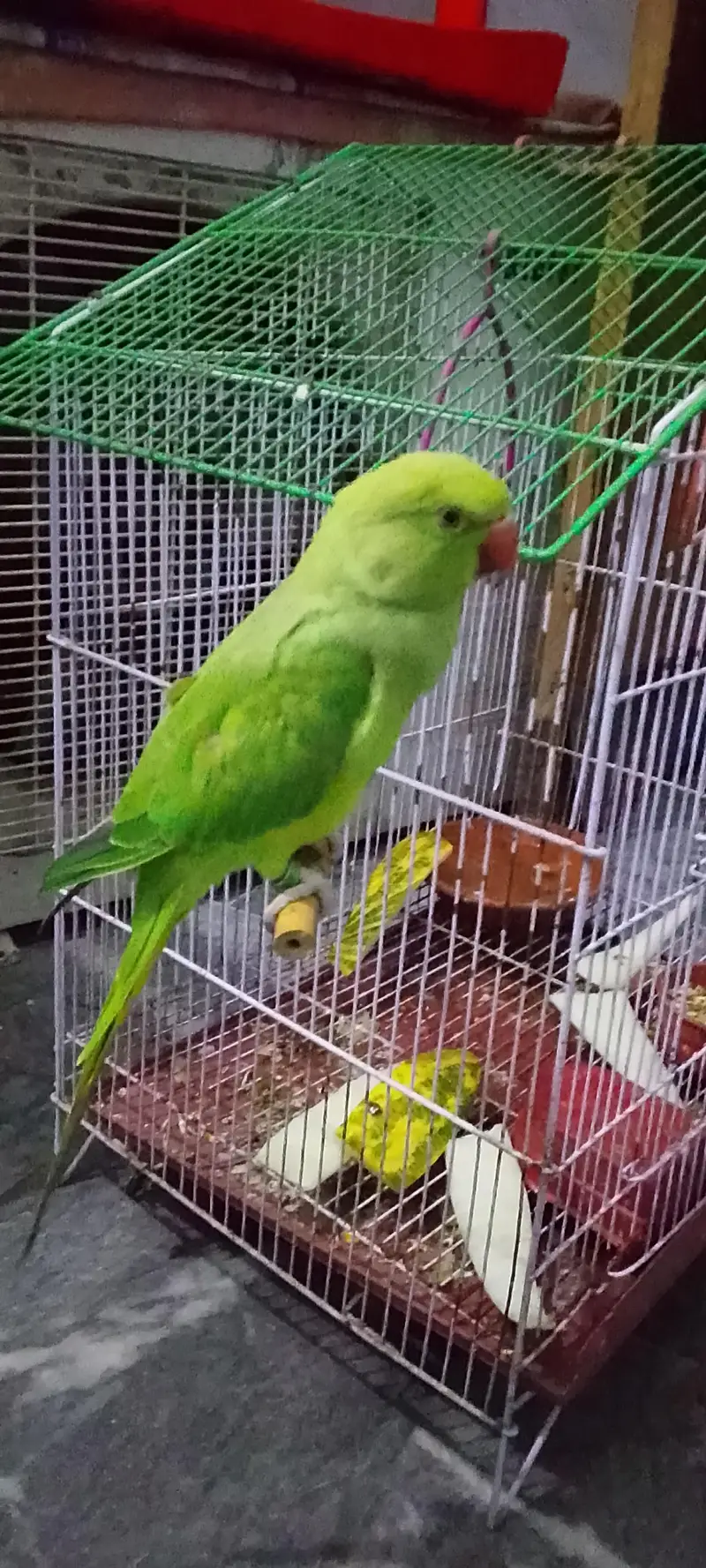 hand tame or actvi pair hai taking b karta hai — photo 3