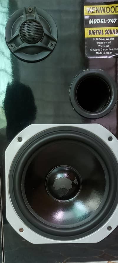JAPNEESE SPEAKERS