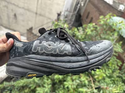 Hoka Speed goat 6 GTX (42)