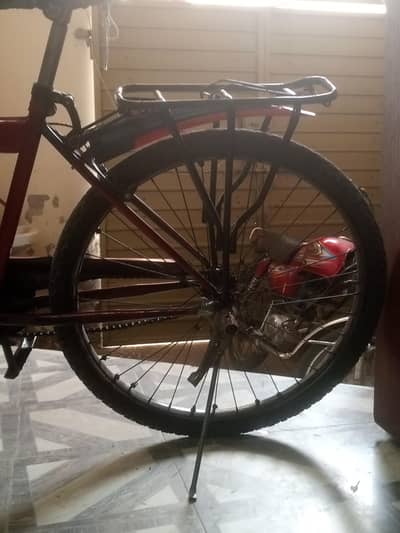 speeder cycle 24" size for urgent sale