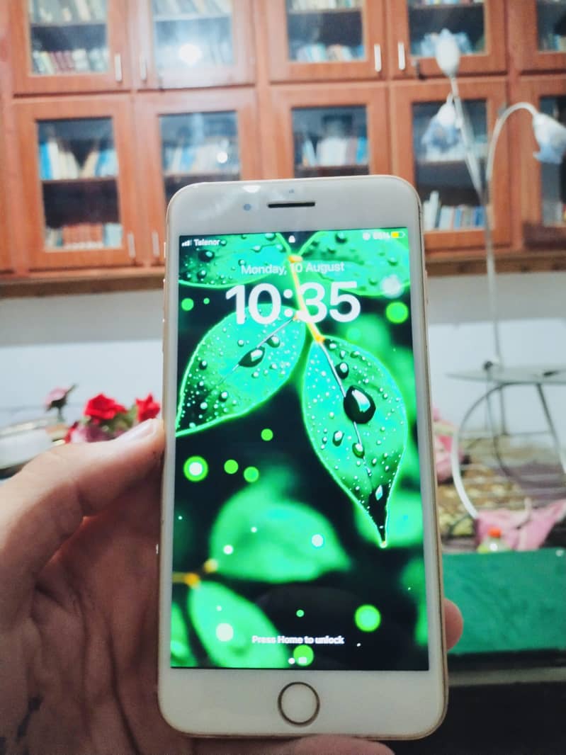 Apple iPhone 8 Plus 1